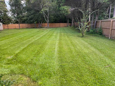 Lawn care service in New Bern, 28562
