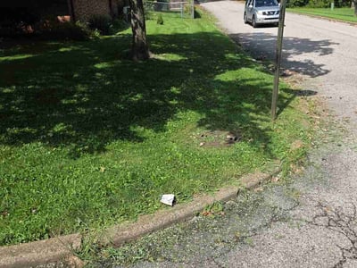 Lawn care service in Evansville, 47711