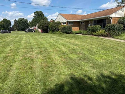 Lawn care service in Youngstown, 44515