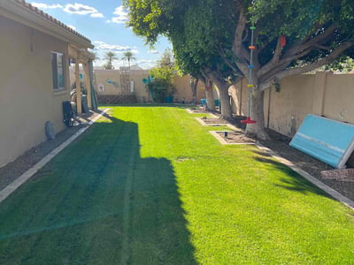 Lawn care service in Chandler, 85224