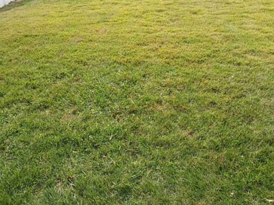 Lawn care service in District Heights, 20747
