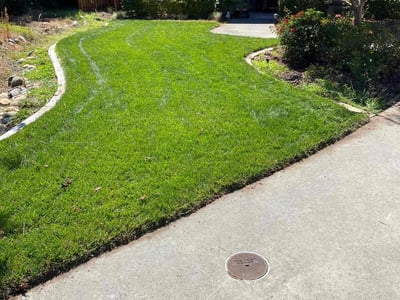 Lawn care service in Fair Oaks, 95628
