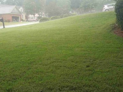 Lawn care service in Columbia, 29212