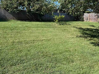Lawn care service in Lexington, 40503