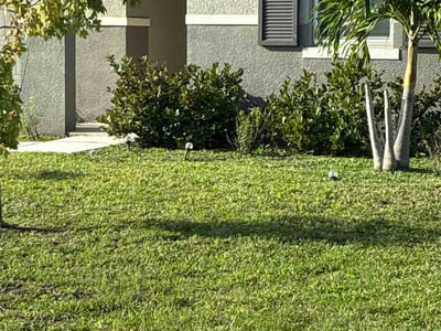 Lawn care service in Parrish, 34219