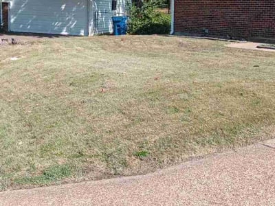 Lawn care service in Olivette, 63132