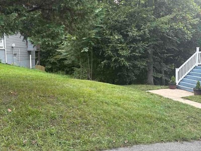 Lawn care service in King George, 22485