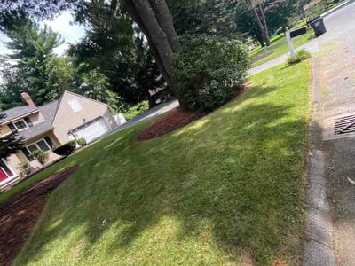 Lawn care service in Clifton Gardens, 12065