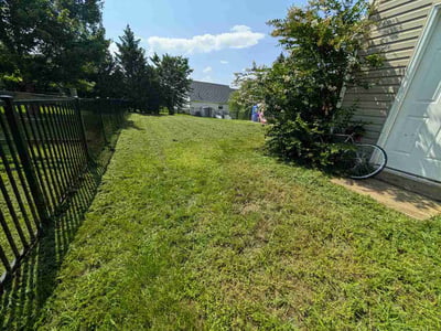 Lawn care service in Fredericksburg, 22408