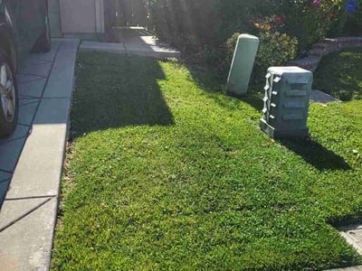 Lawn care service in Elk Grove, 95757
