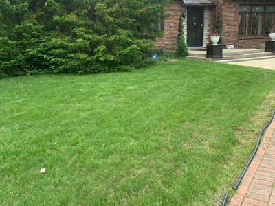 Lawn care service in Dayton, 45406
