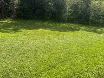 Lawn care service in Columbus, 31820