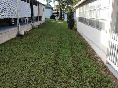 Lawn care service in Orange City, 32763