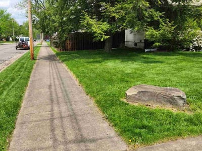 Lawn care service in Youngstown, 44514