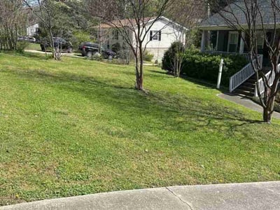 Lawn care service in Raleigh, 27610