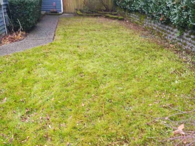 Lawn care service in Kirkland, 98034