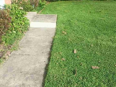 Lawn care service in Roanoke, 24012