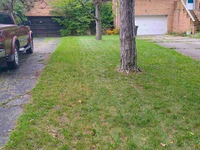 Lawn care service in Ann Arbor, 48103
