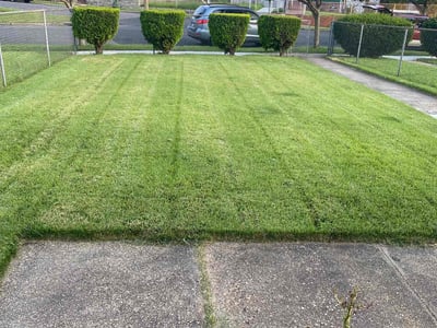 Lawn care service in Washington, 20020