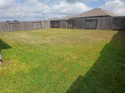 Lawn care service in Roman Forest, 77357