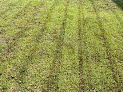 Lawn care service in Celina, 75009