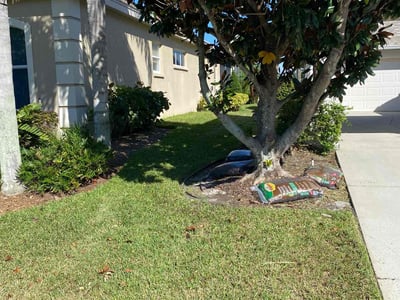 Lawn care service in Bradenton, 34208