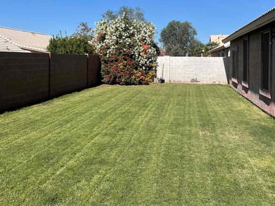 Lawn care service in Phoenix, 85044