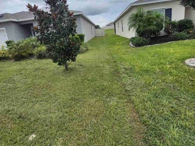 Lawn care service in Davenport, 33837