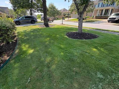Lawn care service in Loganville, 30052
