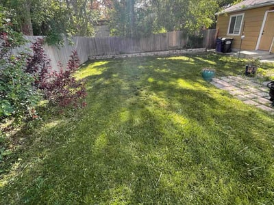 Lawn care service in Denver, 80220