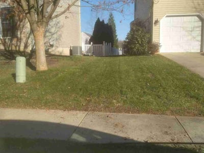 Lawn care service in , 