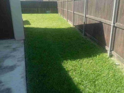 Lawn care service in McAllen, 78504