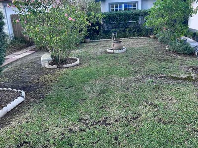 Lawn care service in Tampa, 33626