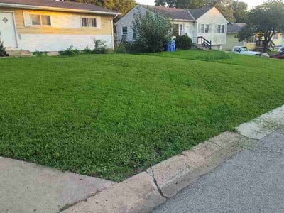 Lawn care service in Grandview, 64030