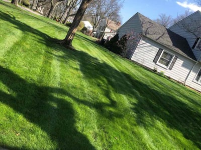 Lawn care service in Shaker Heights, 44122