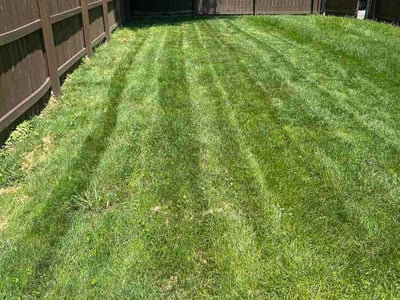 Lawn care service in Covington, 41011