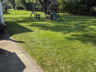 Lawn care service in Dayton, 45426