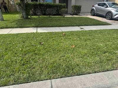 Lawn care service in Kissimmee, 34758