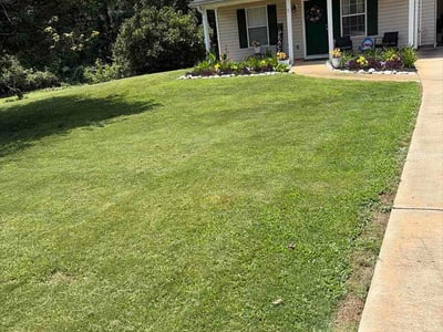 Lawn care service in Locust Grove, 30248