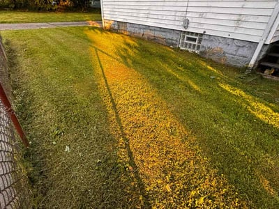 Lawn care service in Akron, 44311