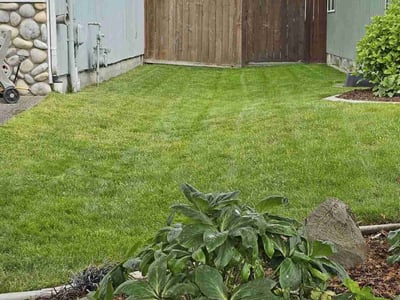 Lawn care service in Bonney Lake, 98391