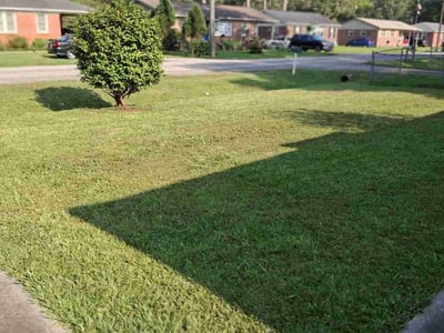 Lawn care service in Summerville, 29483