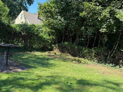 Lawn care service in New Haven, 06515