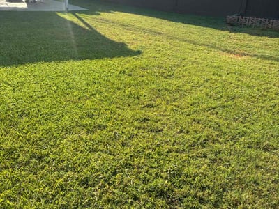 Lawn care service in Lakewood, 90715