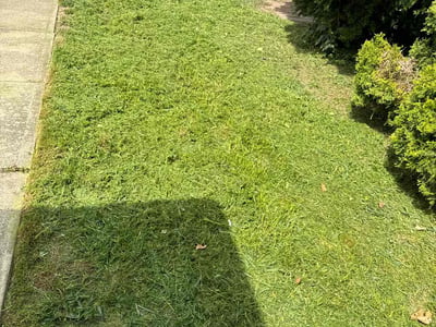 Lawn care service in Delanco, 08075