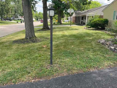 Lawn care service in Dayton, 45458
