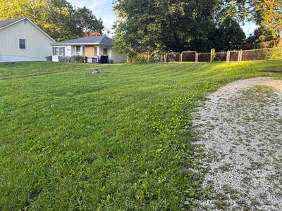 Lawn care service in Kansas City, 64119