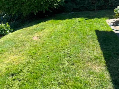Lawn care service in Seattle, 98168