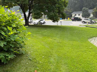 Lawn care service in Linthicum Heights, 21090