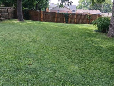 Lawn care service in Nashville, 37206